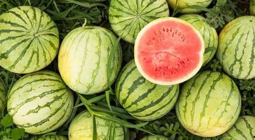 做吃瓜怎么放图片,教你如何轻松放图，畅享视觉盛宴