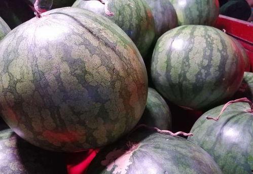 吃瓜怎么拍摄好看,如何拍出诱人瓜果美照