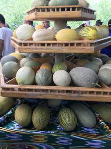 新疆最近的吃瓜,最新“吃瓜”事件盘点