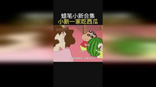 菩提小新吃瓜,揭秘娱乐圈的甜蜜与苦涩
