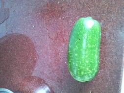 怀孕吃瓜特效,神奇效果大揭秘！