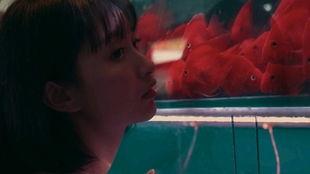 吃瓜少女的月亮,揭秘吃瓜少女的月亮之谜