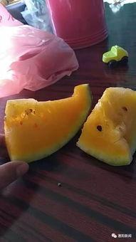 良老六吃瓜,揭秘娱乐圈背后的那些事儿