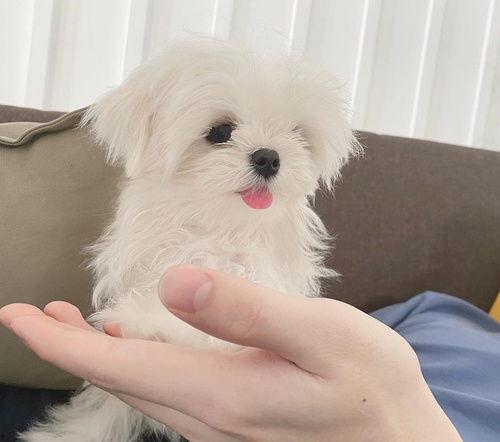 吃瓜打架现场,一场激情四溢的“打架”现场