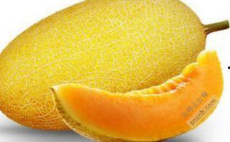 孕妇吃蜜瓜的禁忌,孕妇食用蜜瓜的注意事项与禁忌揭秘