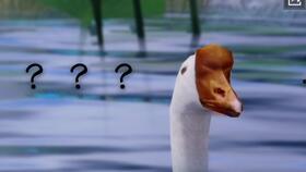 晚梦吃瓜,揭秘娱乐圈幕后故事