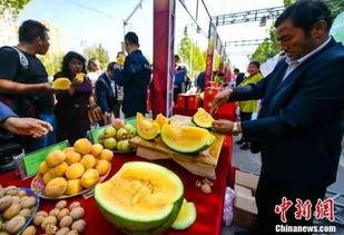 库尔勒最新吃瓜事件视频,揭秘网络热议背后的真相