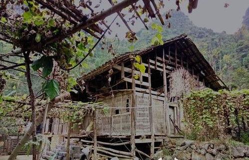 吃瓜全真道士,揭秘道教神秘面纱下的凡间生活