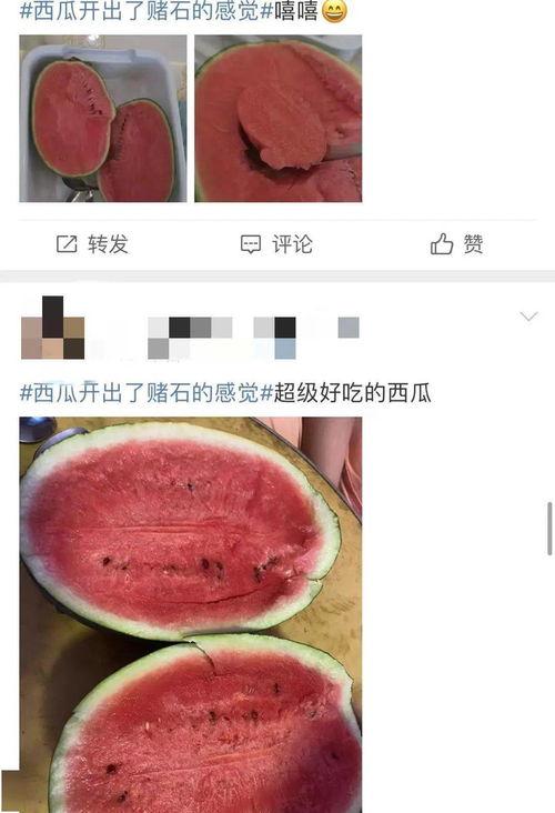 怀孕吃瓜热搜,揭秘孕期饮食禁忌与营养搭配