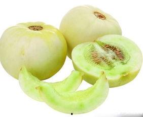 吃科技瓜,吃科技瓜，品味未来生活滋味