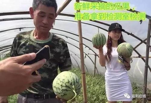 专业吃瓜群众直播,直播界的“瓜王”风云录