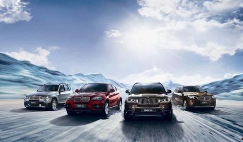 郓城吃瓜事件黑色宝马