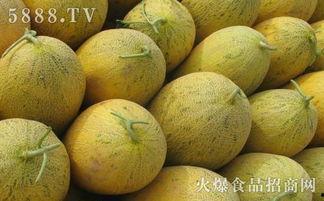 哈密瓜做月子可以吃吗,哈密瓜的营养与益处