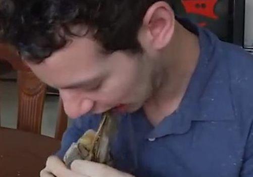 盘点老外在中国吃瓜,老外在中国品尝地道美食之旅