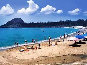 吃瓜岱岱台湾,揭秘宝岛美食与风土人情