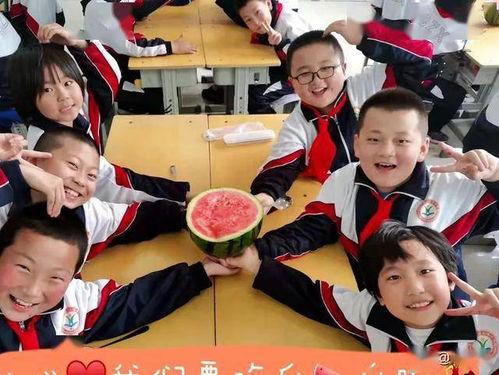 吃瓜中学事件,揭秘校园风波背后的真相