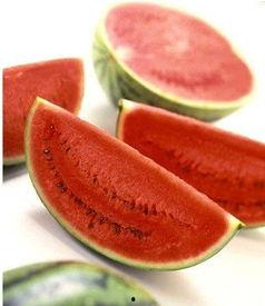 吃瓜3,揭秘娱乐圈背后的秘密与真相