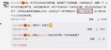 介绍女友吃瓜群众,一场甜蜜的吃瓜盛宴