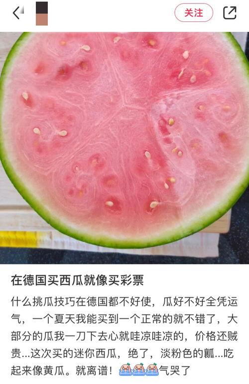 全世界在吃瓜,揭秘大众娱乐文化的狂欢与反思
