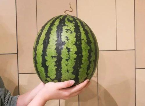 杀瓜中的吃瓜,揭秘网络舆论场的暗流涌动