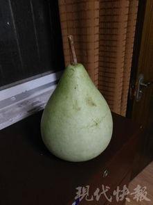 盐城美少女吃瓜,揭秘网络热议背后的真相