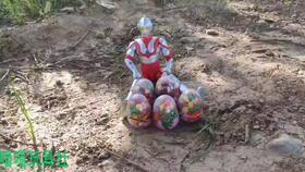 奥特曼吃瓜西瓜冬瓜,西瓜、冬瓜大比拼