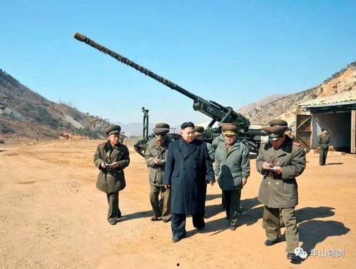 王大炮吃瓜图片,趣味横生瞬间捕捉